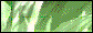 Bitmap Image
